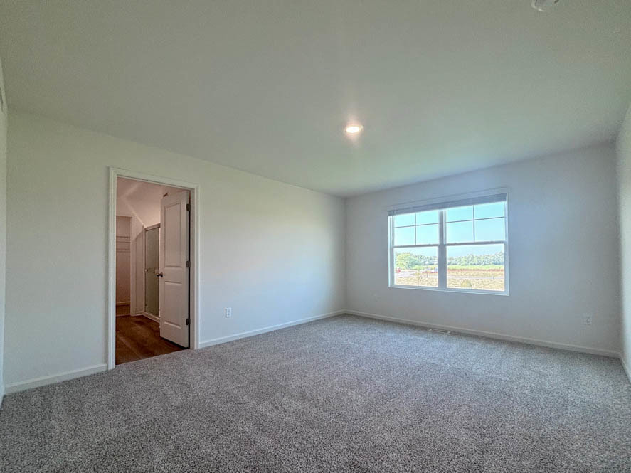 3719 Monte Carlo Way Joliet, IL 60421 - Photo 28 of 32 an empty room with windows and closet