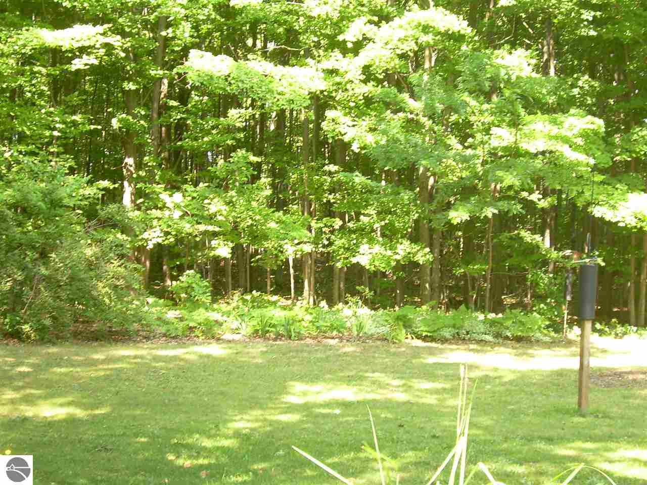4785 Church Road Traverse City, MI 49685 - Photo 43 of 50 1745803-42.JPG