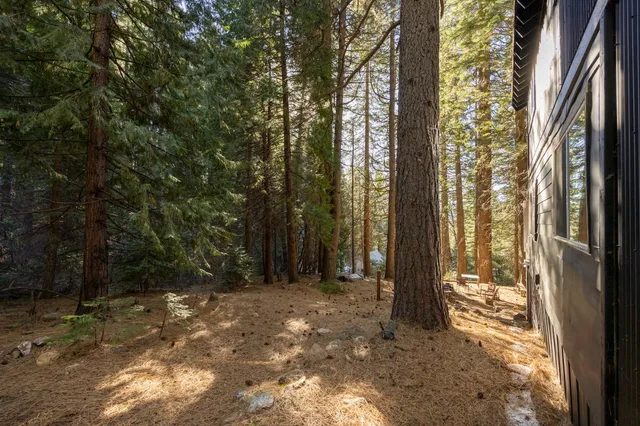 a living room with a couch and a large window