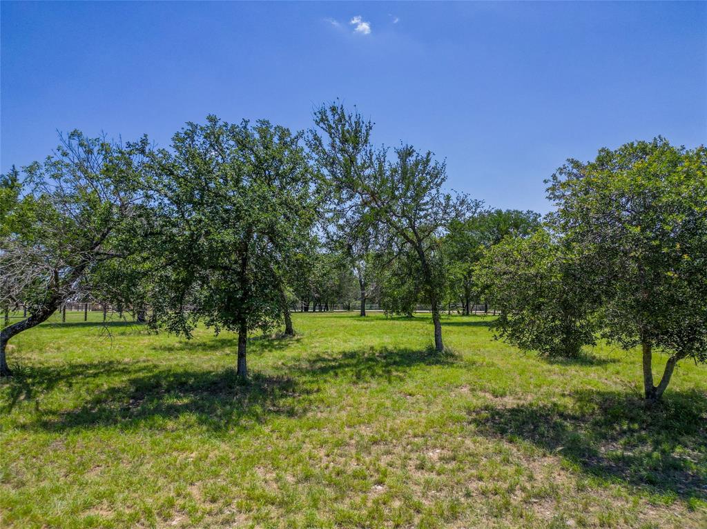 Tbd Cactus Rio Lane Weatherford, TX 76087 - Photo 4 of 12 View from the lot looking to the road