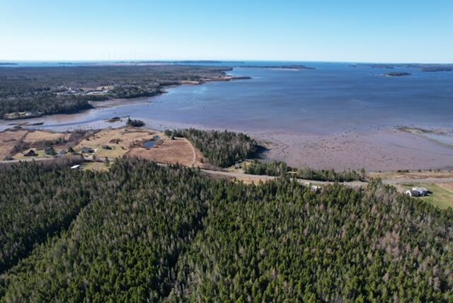 Aerial View of Property & Holmes Bay