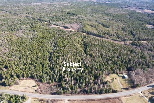 Lot 29 Cutler Road Whiting, ME 04691 - Photo 4 of 9 Aerial View of Property