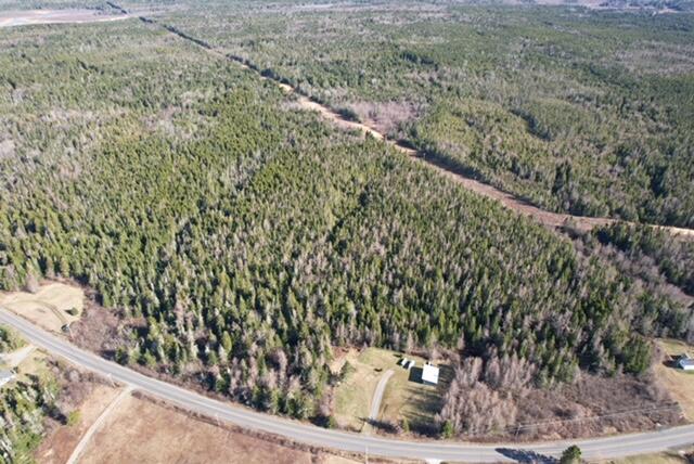 Lot 29 Cutler Road Whiting, ME 04691 - Photo 5 of 9 Aerial View of Property