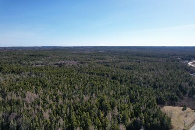 Lot 29 Cutler Road Whiting, ME 04691 - Photo 6 of 9 Aerial View of Property