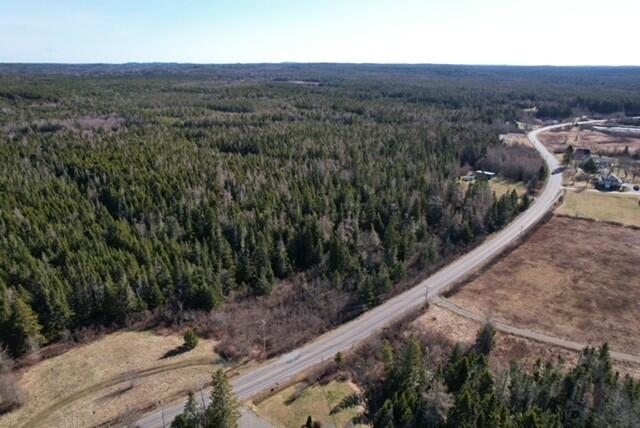 Lot 29 Cutler Road Whiting, ME 04691 - Photo 8 of 9 Aerial View of Property