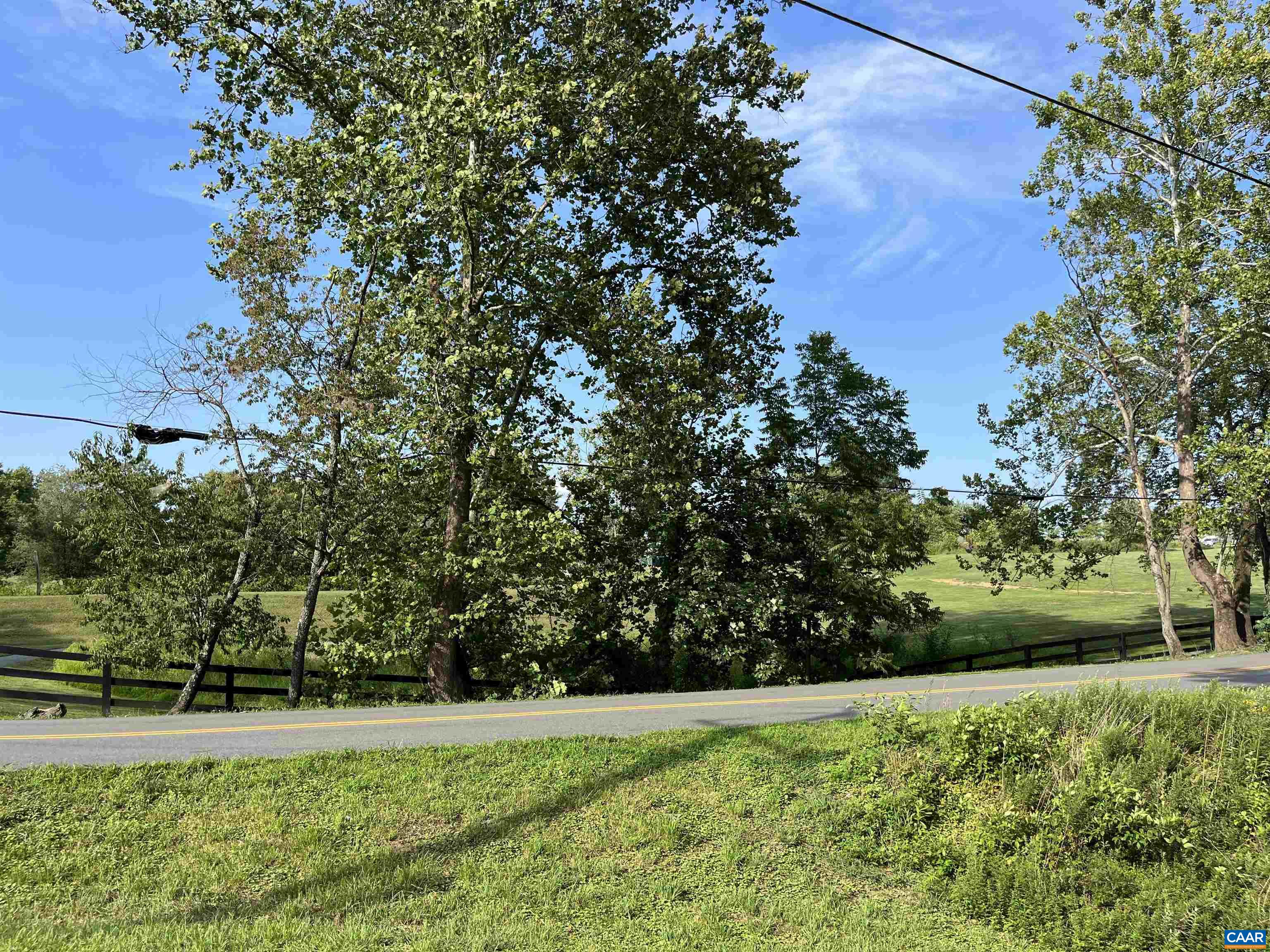 Park Road Crozet, VA 22932 - Photo 3 of 11 a view of a yard with a tree
