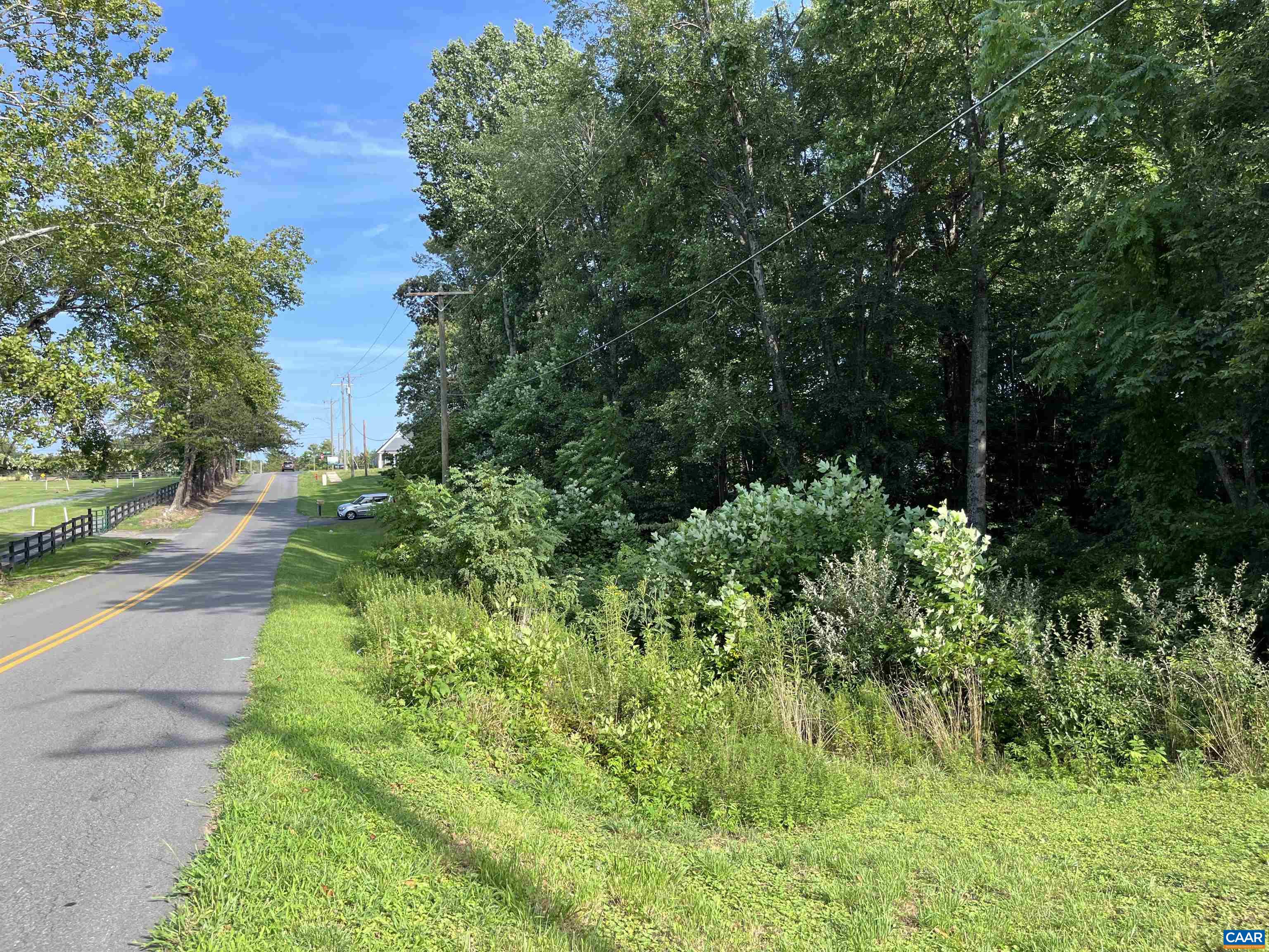 Park Road Crozet, VA 22932 - Photo 4 of 11 a view of a yard with plants and large trees