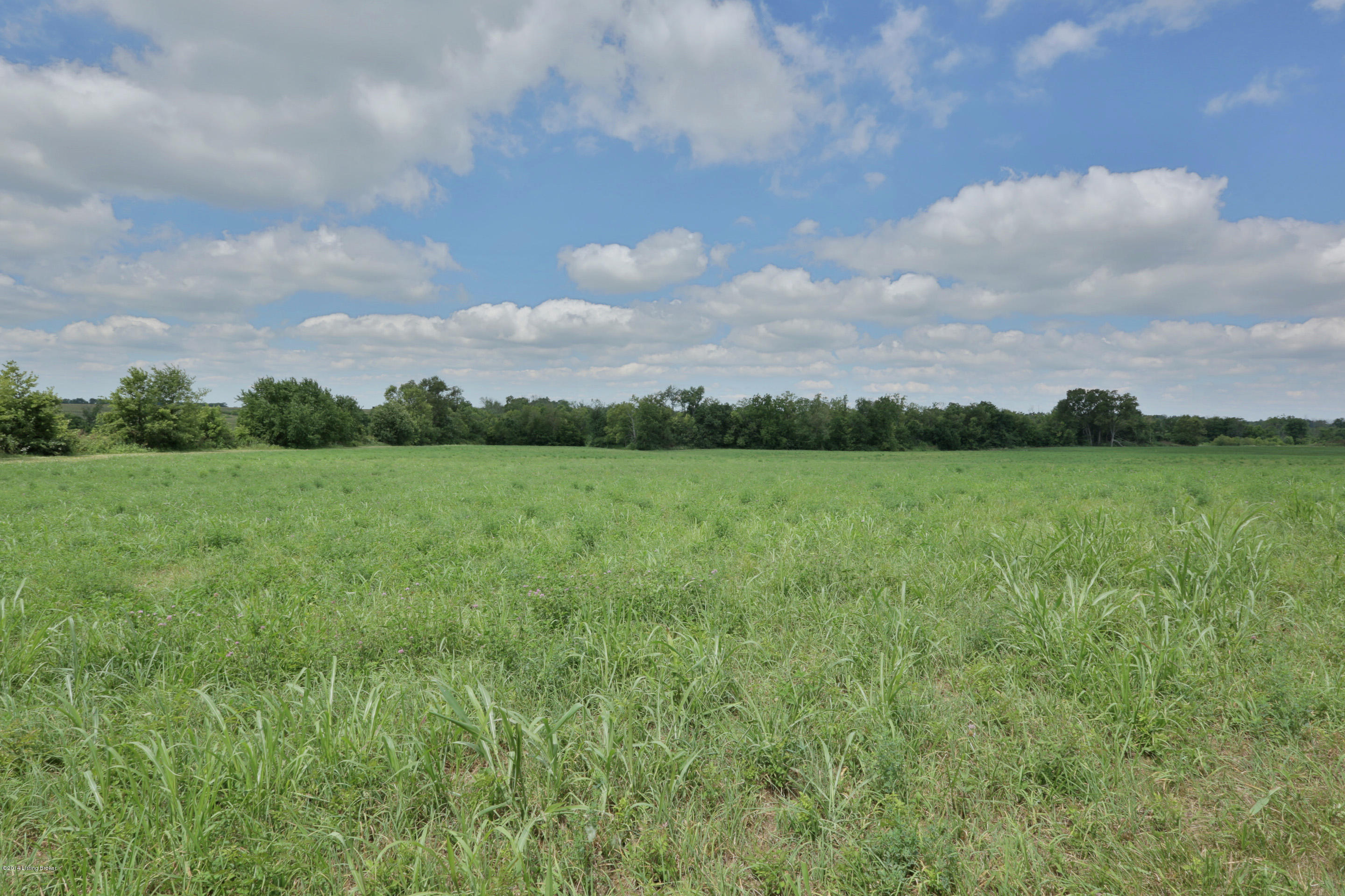 1 Ellis Road Eminence, KY 40019 - Photo 7 of 17 back field