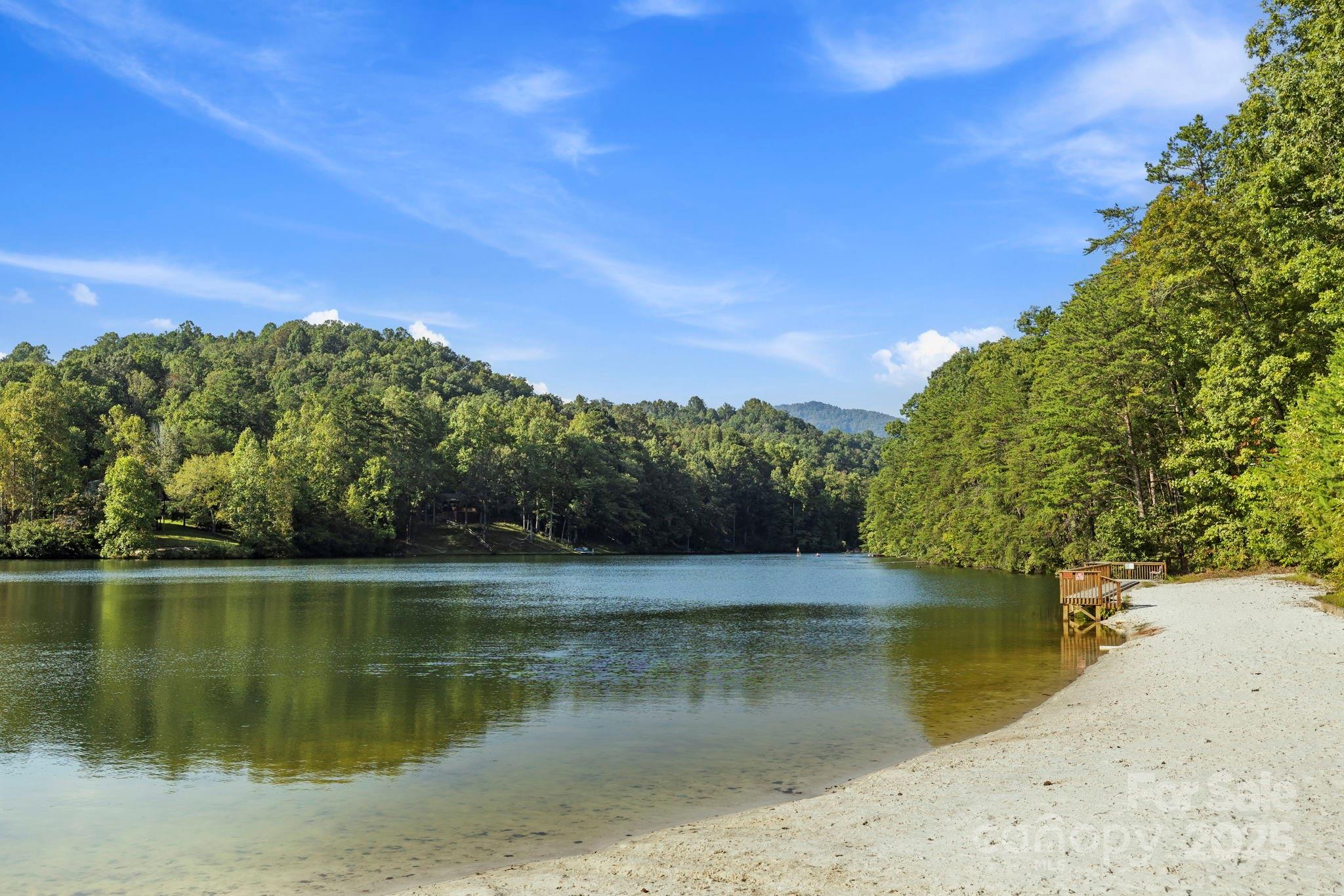 394 Doves Way Lake Lure, NC 28746 - Photo 14 of 38
