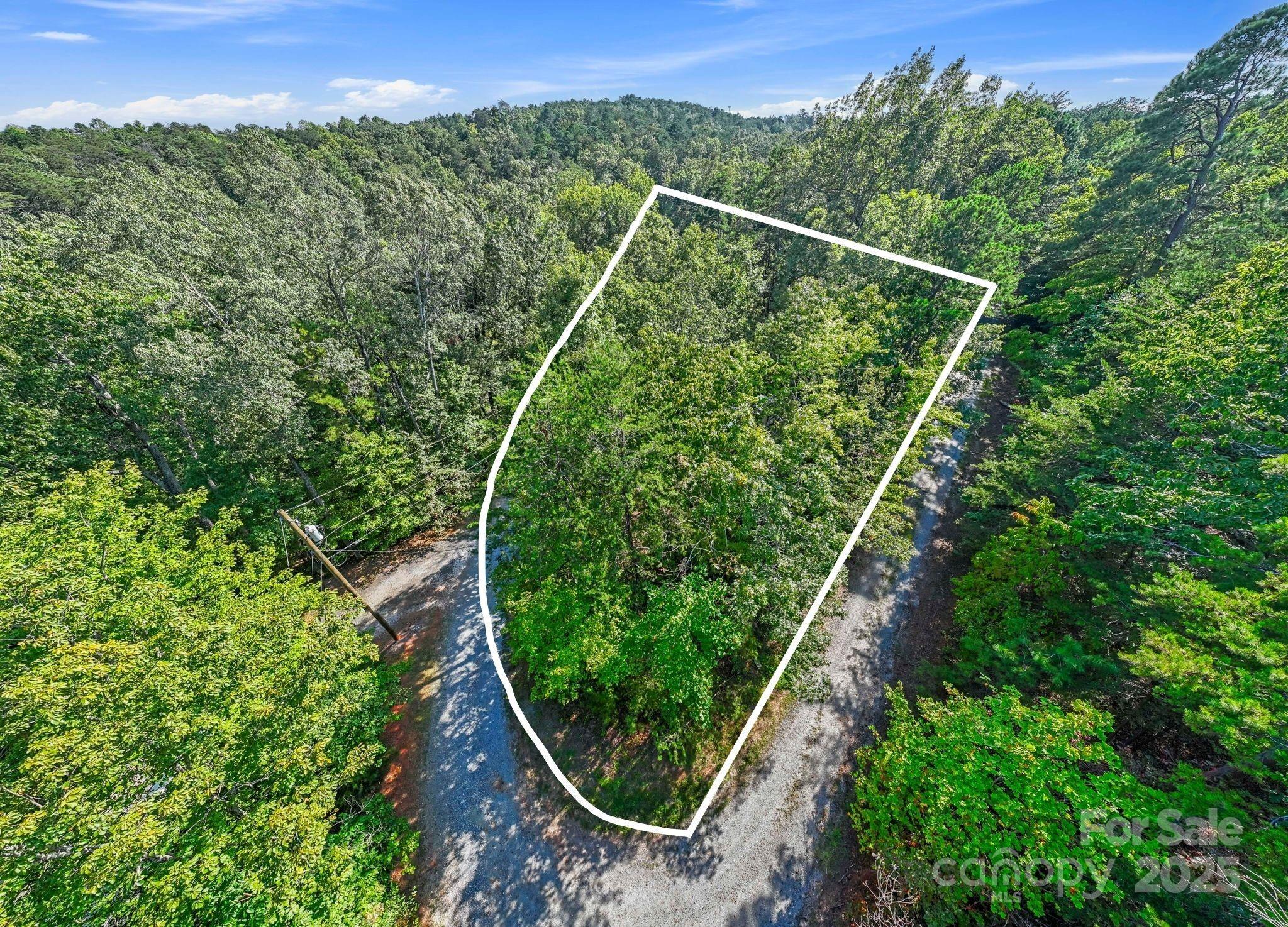 394 Doves Way Lake Lure, NC 28746 - Photo 16 of 38