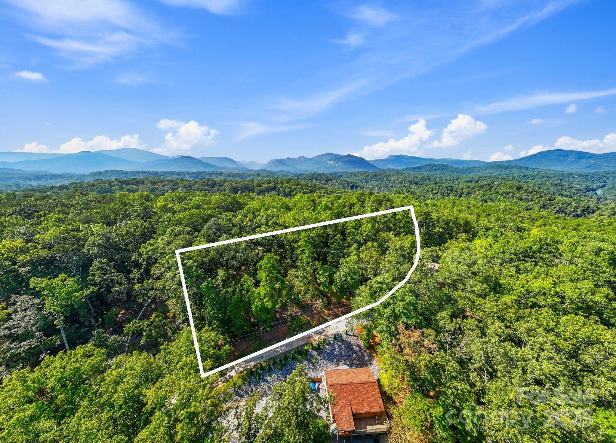 394 Doves Way Lake Lure, NC 28746 - Photo 18 of 38