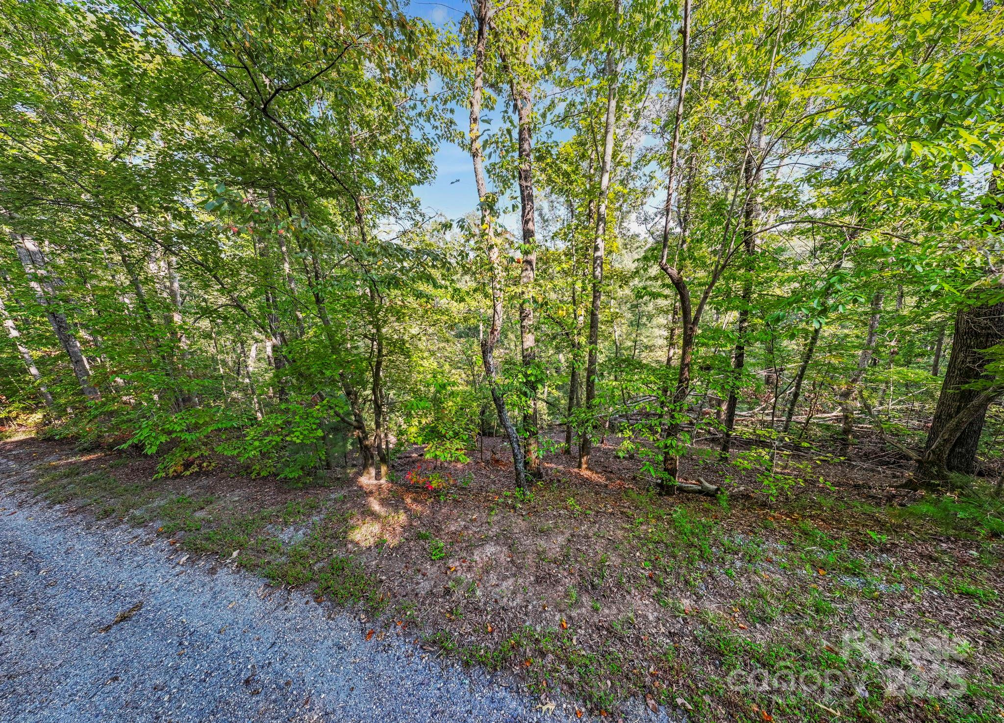 394 Doves Way Lake Lure, NC 28746 - Photo 19 of 38