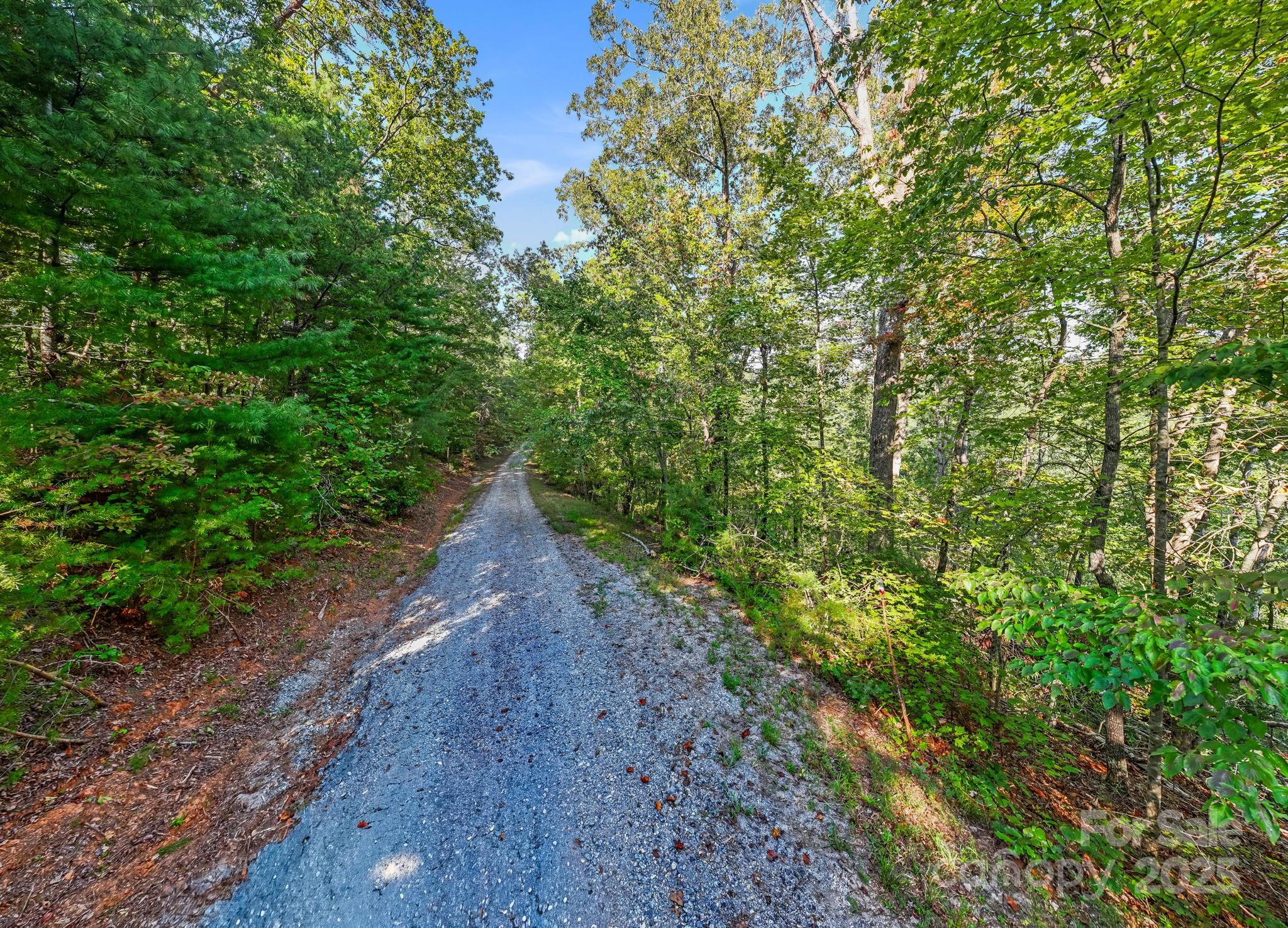 394 Doves Way Lake Lure, NC 28746 - Photo 20 of 38