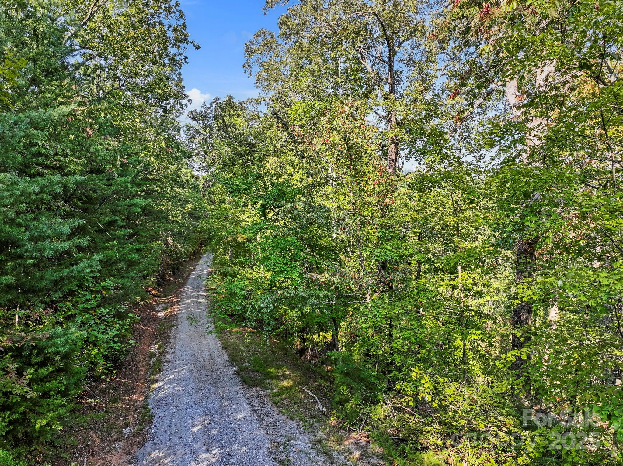 394 Doves Way Lake Lure, NC 28746 - Photo 21 of 38