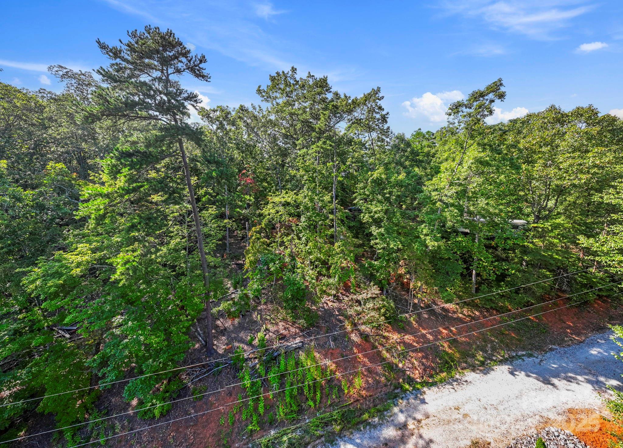 394 Doves Way Lake Lure, NC 28746 - Photo 23 of 38