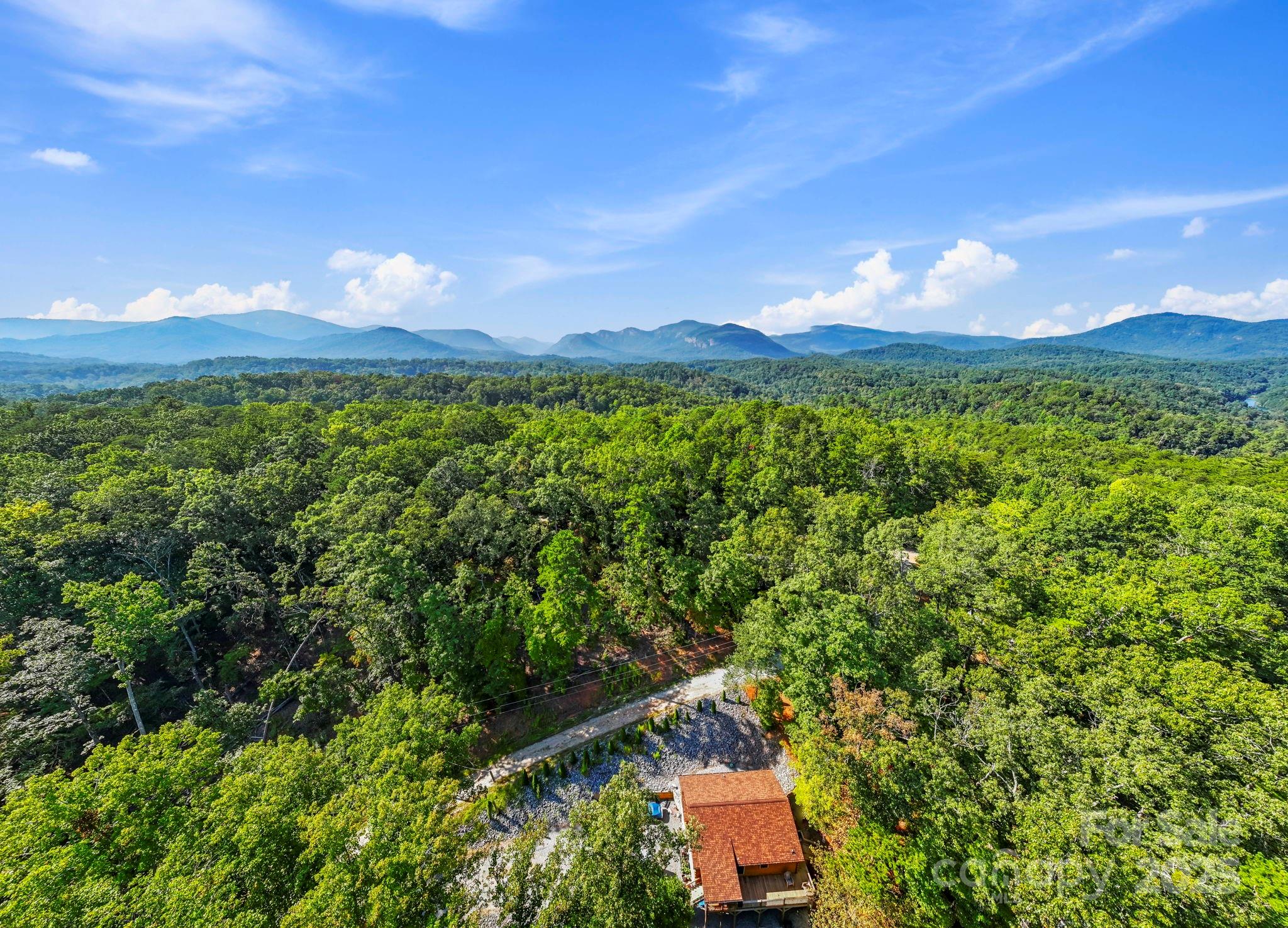 394 Doves Way Lake Lure, NC 28746 - Photo 25 of 38
