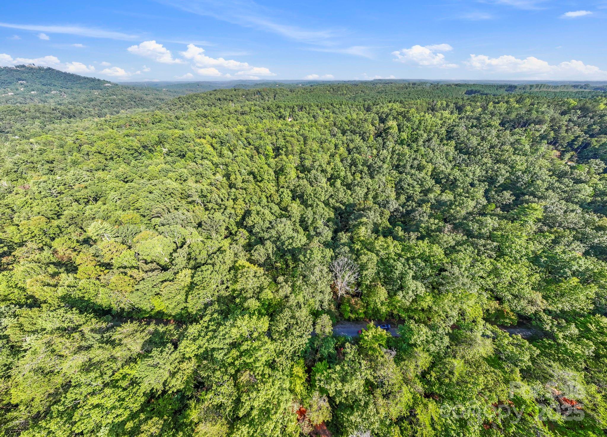 394 Doves Way Lake Lure, NC 28746 - Photo 26 of 38
