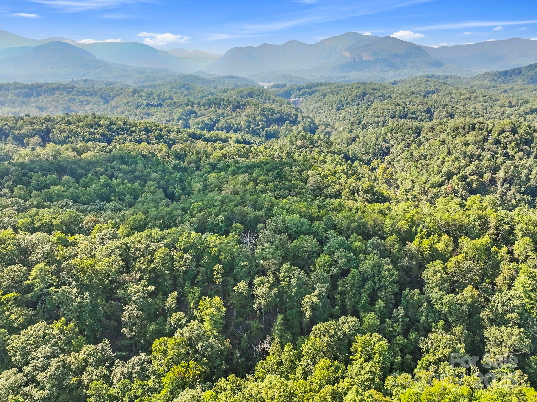 394 Doves Way Lake Lure, NC 28746 - Photo 27 of 38