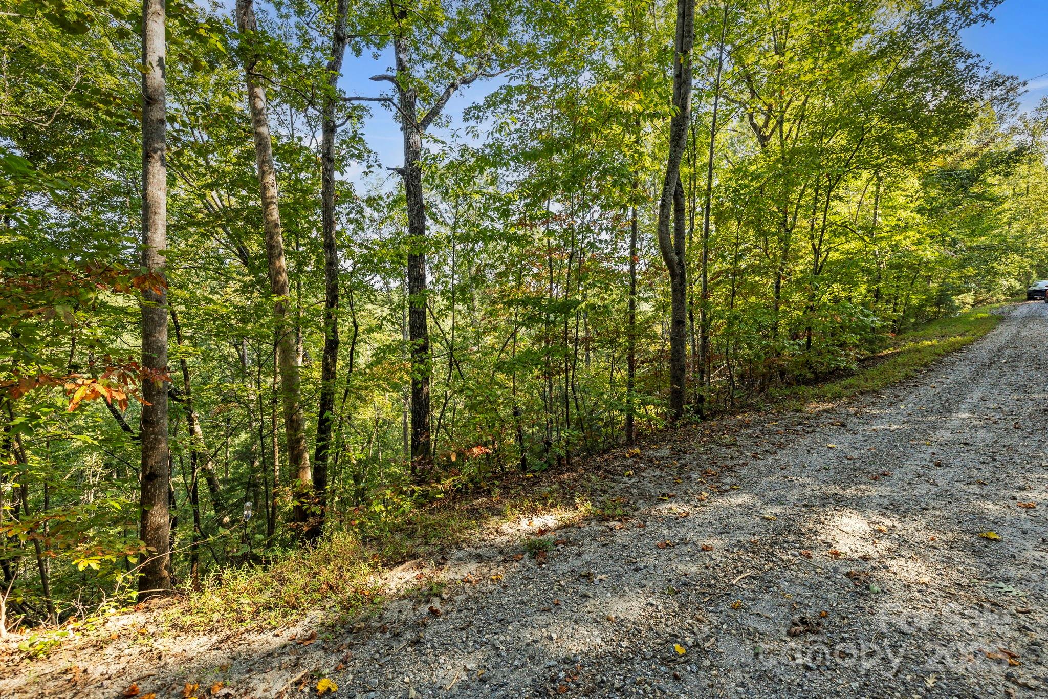 394 Doves Way Lake Lure, NC 28746 - Photo 31 of 38