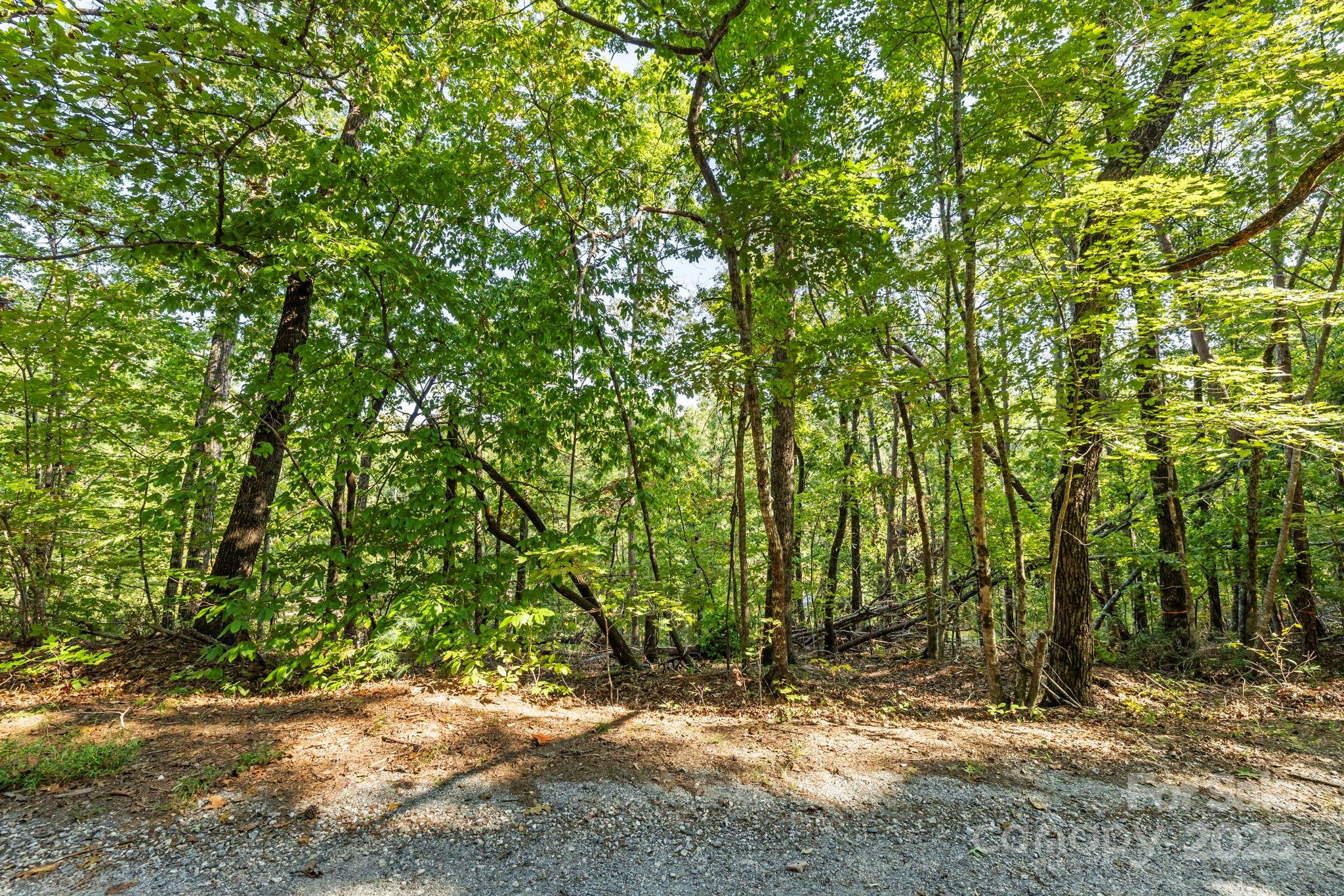 394 Doves Way Lake Lure, NC 28746 - Photo 33 of 38