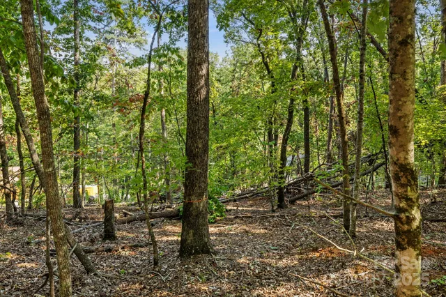 $149,000 | 394 Doves Way, Lake Lure, NC 28746