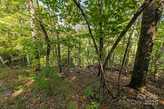 $149,000 | 394 Doves Way, Lake Lure, NC 28746