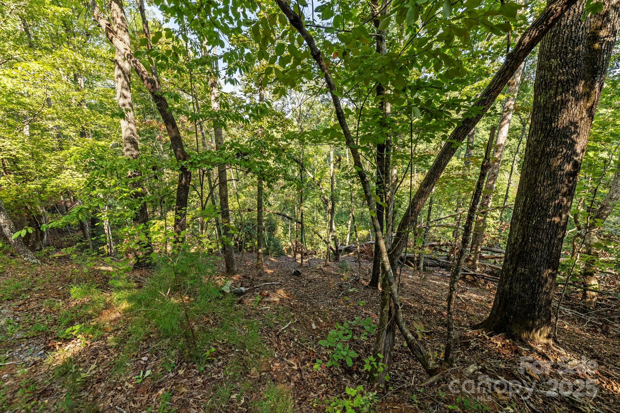 394 Doves Way Lake Lure, NC 28746 - Photo 35 of 38