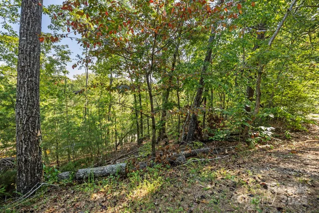 $149,000 | 394 Doves Way, Lake Lure, NC 28746