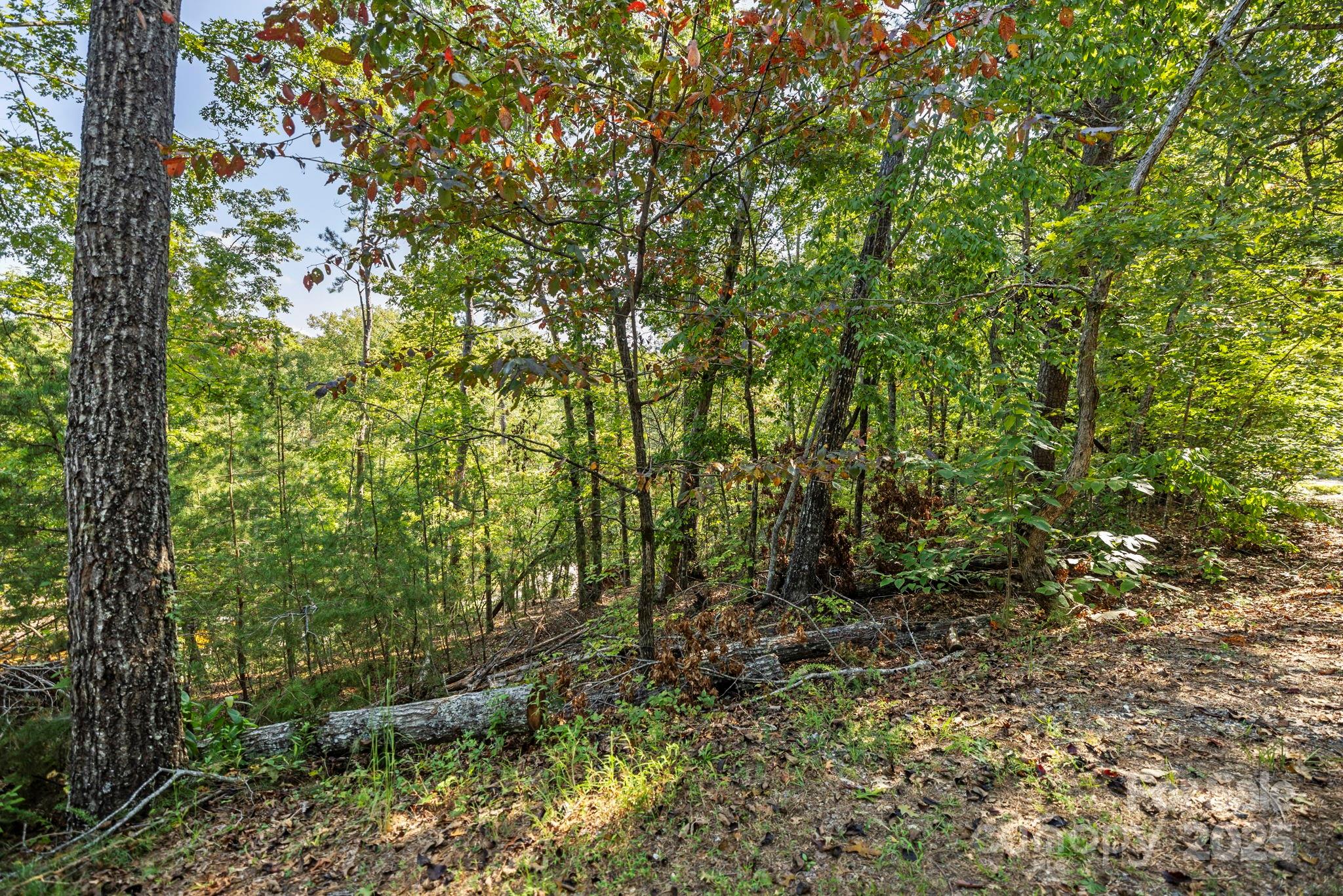 394 Doves Way Lake Lure, NC 28746 - Photo 36 of 38