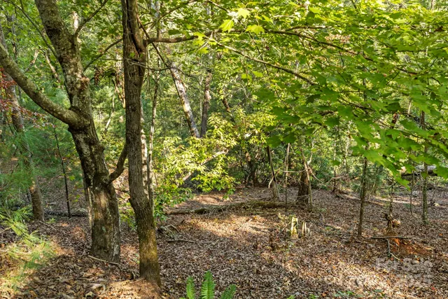 $149,000 | 394 Doves Way, Lake Lure, NC 28746