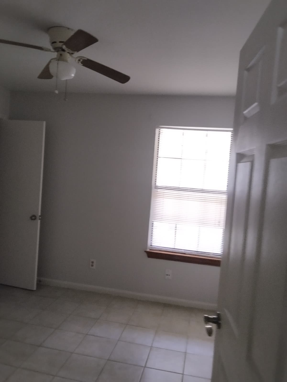 3414 Bristlecone Trail Spring, TX 77380 - Photo 6 of 14