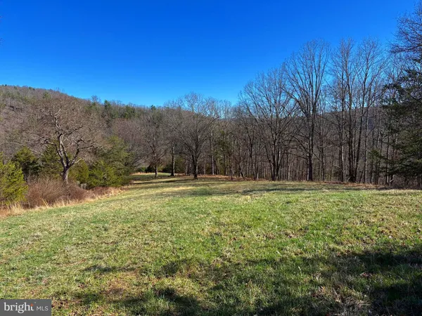 a view of an outdoor space and a yard