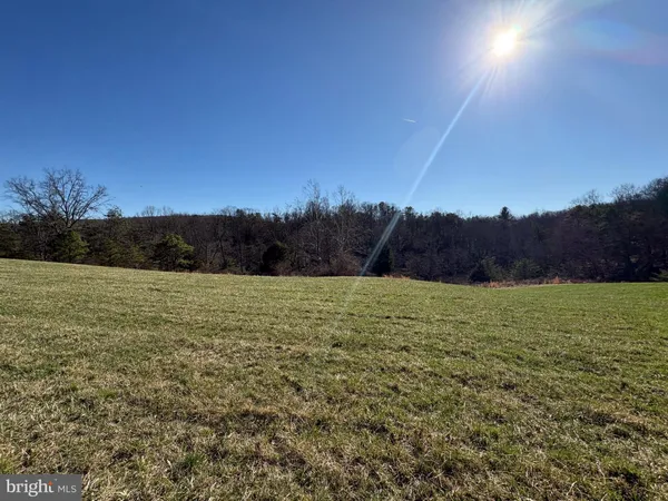 a view of dirt yard with a large tree
