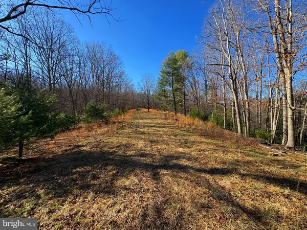 a view of a yard with an trees