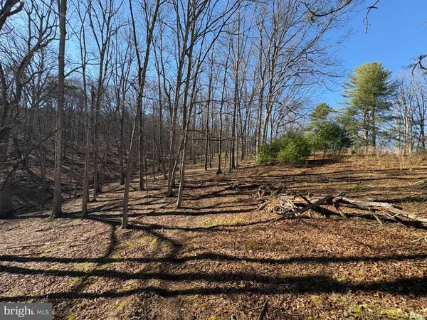 a view of a yard with a barn