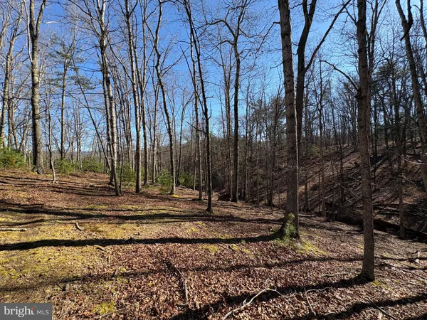a view of a backyard of the house
