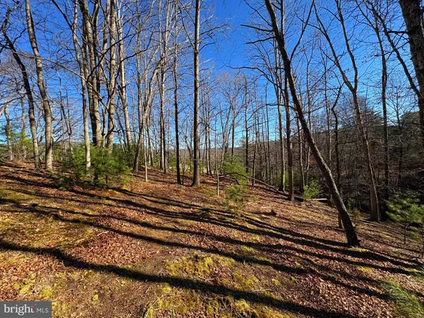 a view of a building with trees