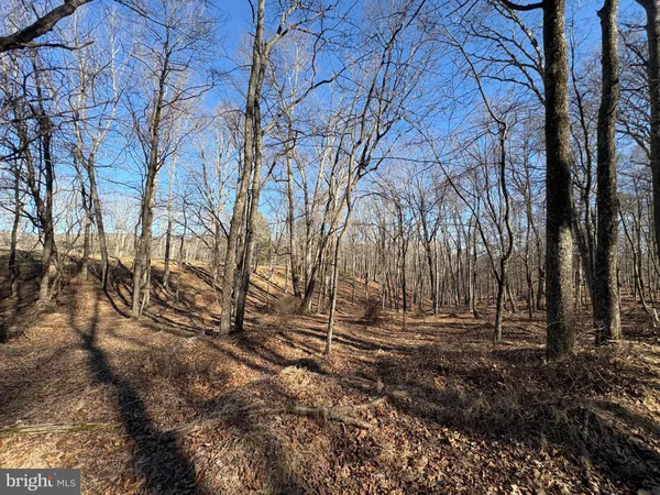 a backyard of a house with trees