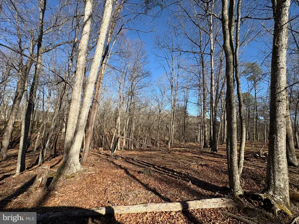 a view of a pathway with a backyard