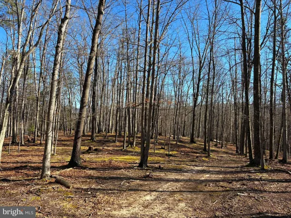 a view of a backyard of a house