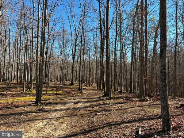 a view of a backyard of the house
