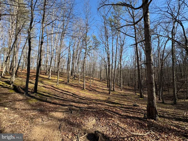 a view of an outdoor space and a yard