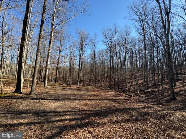 a view of an outdoor space and a yard