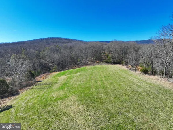 a view of a dry yard