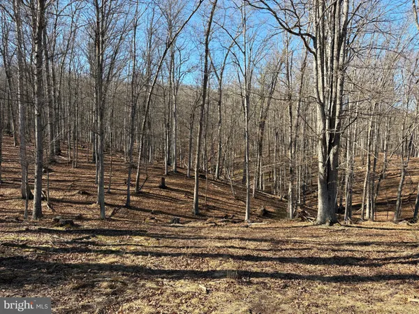 a view of a dry field with trees in the background