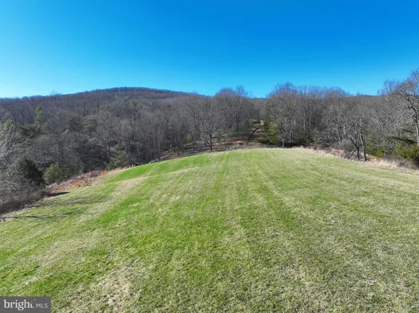 a view of a dry field with lots of bushes