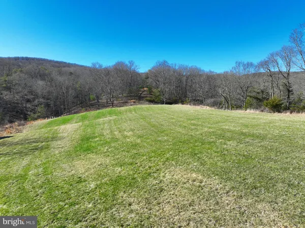 a view of a dry yard