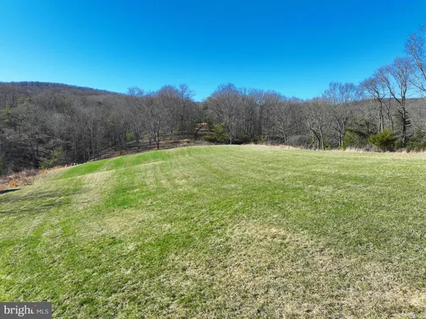 a view of a yard with an outdoor space