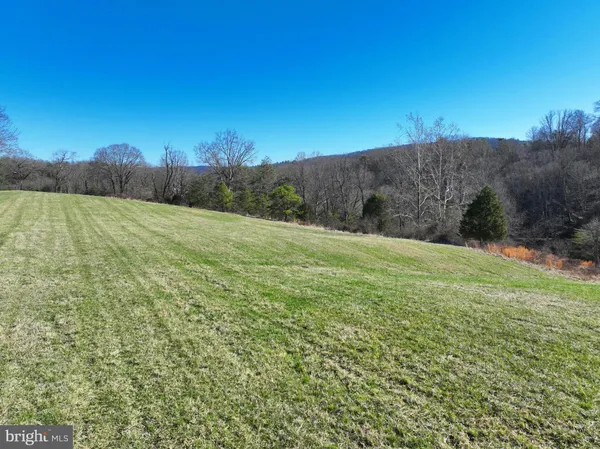 a view of a dry yard with wooden fence