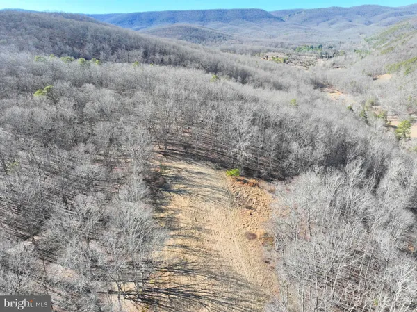 a view of a dry yard